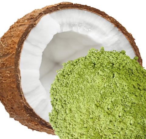 Organic Coconut Matcha Latte
